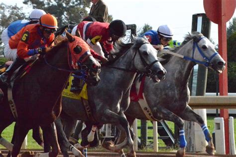 pace horse racing|The Ace of Pace – Expert horse racing pace analysis .